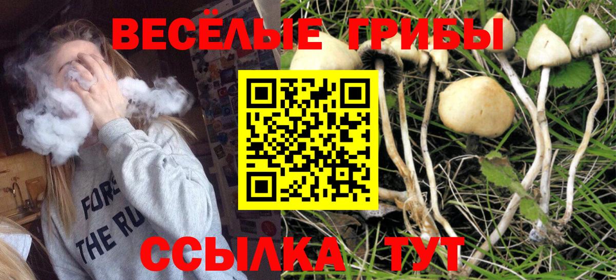 Как найти закладки?  Советский  Гашиш  Вход с VPN  Меф кристаллы  Каннабис  Cocaine  Лсд 25 